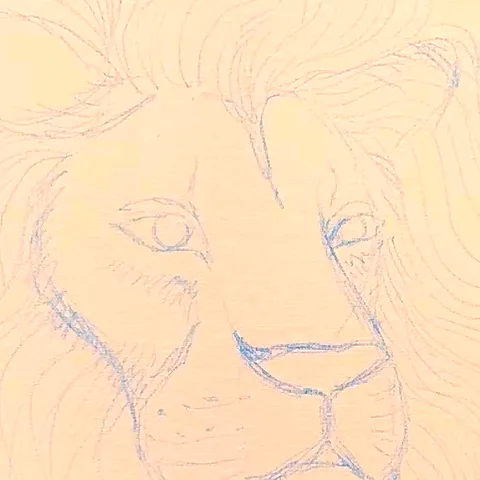 Module 2: the lion's face sketched onto bare canvas in light blue watercolor pencil