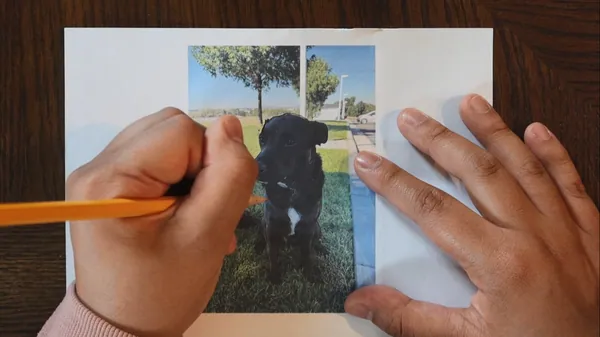 Overhead view of hands tracing a printed photo of a black dog with a pencil