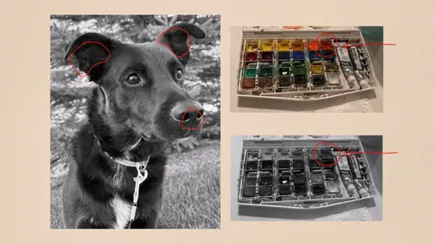 Module 3: a black-and-white reference photo of a dog with the darkest areas circled, beside a watercolor palette shown in color and in greyscale for value matching