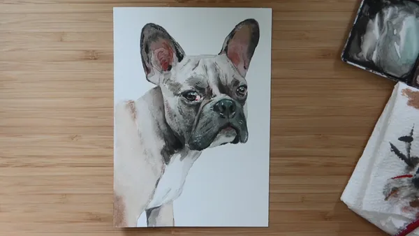 The finished realistic watercolor portrait of a French bulldog resting on a wooden desk