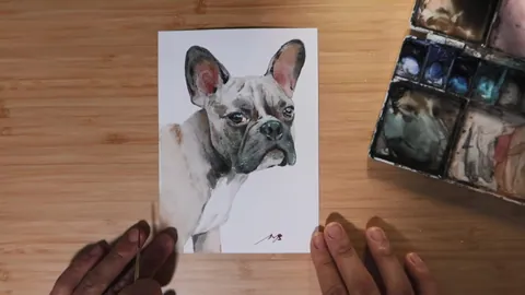 The finished French bulldog watercolor portrait with final highlights added